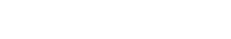Reintjes Karriere